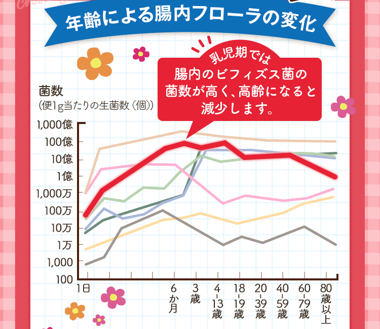 年齢による腸内フローラの変化