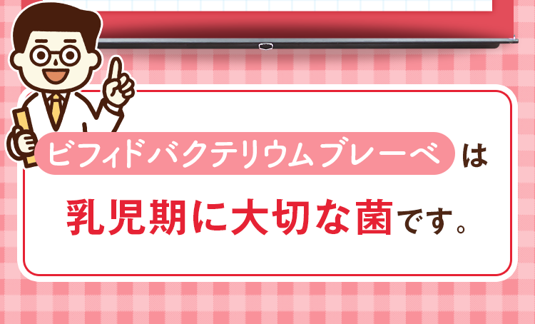ビフィドバクテリウムブレーベは乳児期に大切な菌です。
