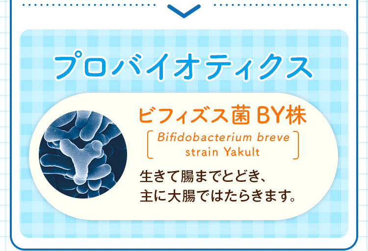 プロバイオティクス