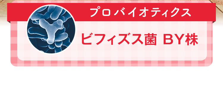 プロバイオティクス ビフィズス菌 BY株