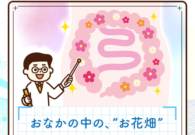 おなかの中の、お花畑