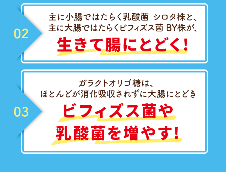 ビフィズス菌や乳酸菌を増やす!