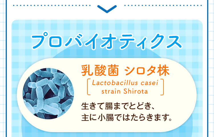プロバイオティクス