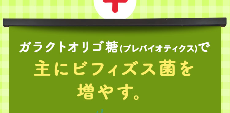 主にビフィズス菌を増やす。