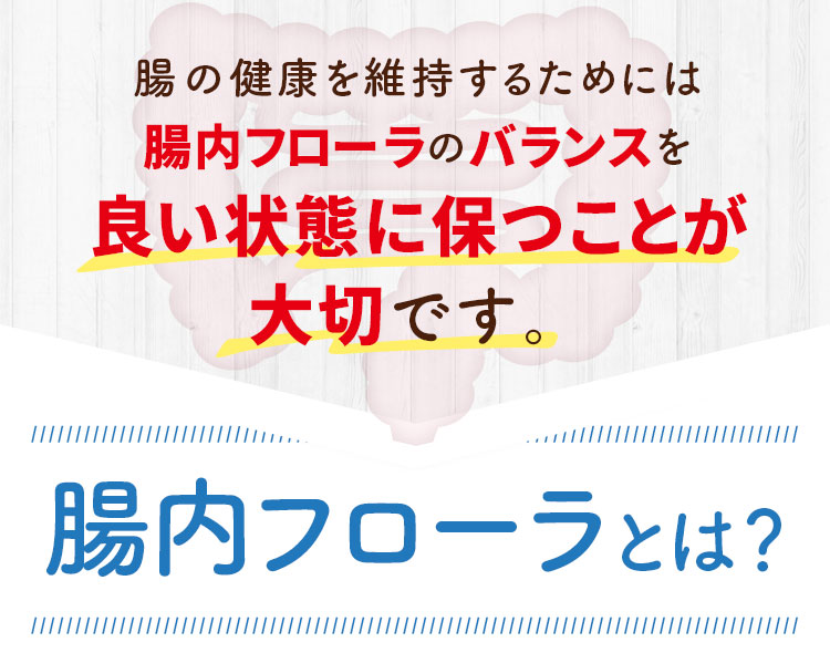 腸の健康を維持するためには腸内フローラのバランスを良い状態に保つことが大切です。