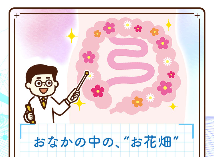 おなかの中の、お花畑