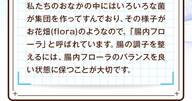 腸の調子を整えるには、腸内フローラのバランスを良い状態に保つことが大切です。