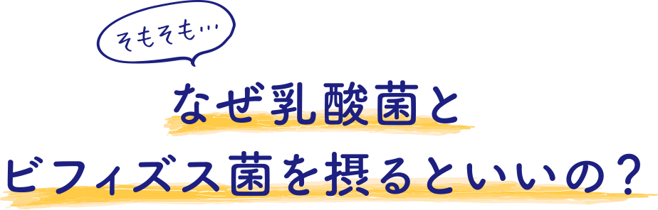 そもそも…なぜ乳酸菌とビフィズス菌を摂るといいの？