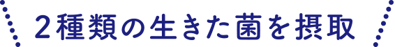 2種類の生きた菌を摂取